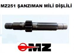 MZ Kamali Mil 251/301 (On Disli)-A-ITH
